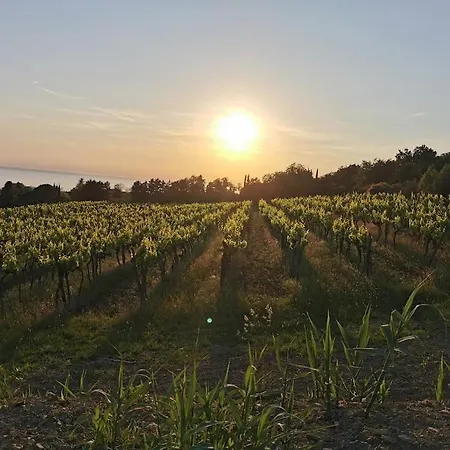 Agava Sunset Апартаменты