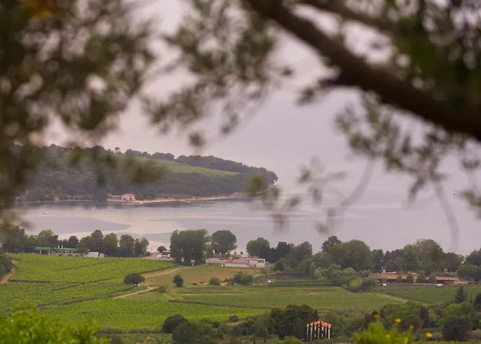 Agava Sunset شقة أنكاران